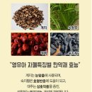 호명한의원 네이버블로그