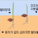 경운초장 이미지