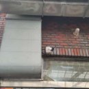 장수방앗간 이미지