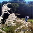 창밀로 | [밀양 트레킹코스 가산저수지 둘레길/밀양 아리나길 걷기] 가을 걸음 후기