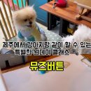 천지연로 이미지