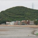 솔밭횟집 티스토리