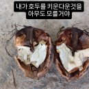장군호두농장