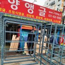 모모앵글