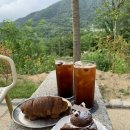 동읍1177 | 창원 마산 자연이 함께하는 대형카페 용강포레 내돈내산 후기