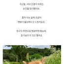 도그마루 강아지고양이 안양점 이미지