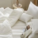 (주)바이오센스크리에티브 | 청주 혼수 예단이불, 예산 짜는 법부터 시부모님께 예쁨 받는 전달 예절까지 완벽 정리!