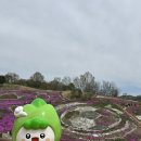 조각공원 주차장 | 생초국제조각공원 꽃잔디 축제 후기 주차 꿀팁과 방문 리뷰