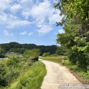 명지리앵두마을 이미지