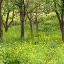 세븐일레븐 마산오동2호점 | 그 향기(香氣)를 팔지 않는다.