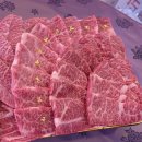 대광청과 이미지