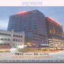 디알렌트카 | 이포 호텔 추천: 호텔 엑셀시어! 솔직 후기와 숨겨진 매력