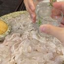 유쾌한세꼬시
