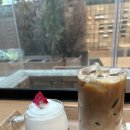 (주)숲플랜 네이버블로그