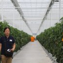 우성 팜 이미지