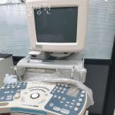 땅콩 동물병원 이미지