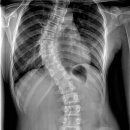 제주늘봄재활병원 이미지