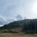 솔담 | 옥천북카페 솔담도랑, 우리밀 빵집 붴 후기(feat.아이와 함께 옥천)