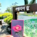 4월에 떠났던 제주여행, 카멜리아힐에서 만난 꽃과 우정🌿🌺🍀