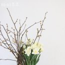 신사동꽃배달 바이조조 전국 승진 개업 축하