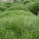 반송농장 이미지