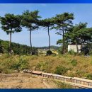 무창포공인중개사사무소 이미지