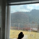 숲속의 연화 펜션 이미지