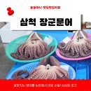 다시샛골전통시장 | 삼척 중앙시장 맛집 40년 전통 삼척장군상회문어 몸보신 후기