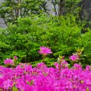 SK봄날공인중개사사무소 이미지