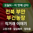 우리농산물 동부시장점 | 오늘N 이 맛에 산다 부안 부건농장 직거래 농산물 (절임배추 고추가루 김장김치재료)