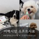 보양죽 | 면세점 입점한 아벡시앙 반습식사료 &amp; 강아지 보양죽 급여해본 솔직한 후기 ! | 기호성 최고 소프트사료