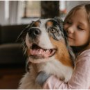 퍼스트 동물메디컬 센터 이미지