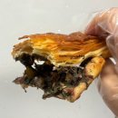 히든베이커리카페(Hidden Bakery Cafe) | TooGoodToGo / 캐나다에서 외노자에게 유용한어플 추천😉