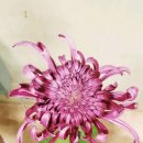 합천군 골프연습장 이미지