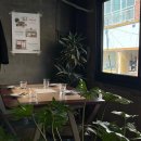 스테디어(STEADYER) 이미지