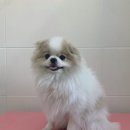 러브몽먼트 이미지