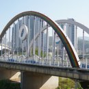 구갈레스피아 이미지