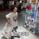 윌슨 NBA 올팀 레트로 농구공 후기