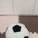 양산 상담센터 파아란 심리상담센터 정말 후기