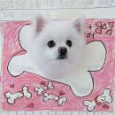 월드유치원 이미지