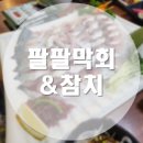 팔팔막회&참치 이미지