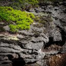 민간인희생자위령탑 | 사이판 만세 절벽: 슬픈 역사와 아름다운 풍경을 담은 곳