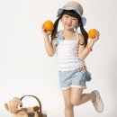 오렌지 농장 이미지