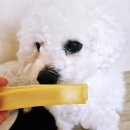 올데이 멍데이 이미지