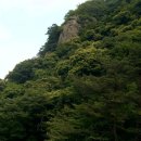 덕암목장 Daum카페