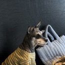 솔커피(SOLE COFFEE) 이미지