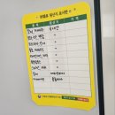 사림동131 | 창원꽃집/사림동꽃집 가성비 좋고 색감 완전 예쁜 꽃집 꽃살랭