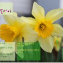 은현수산 이미지