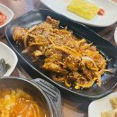 쥬띠하우스 | 230220-230226 , 2월 넷째주 기록