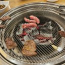 꿍이네 이미지
